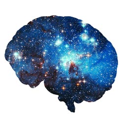 Defending Free Will & The Self